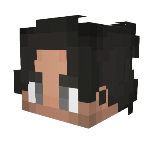 Federex29 Minecraft avatar head, 3D render