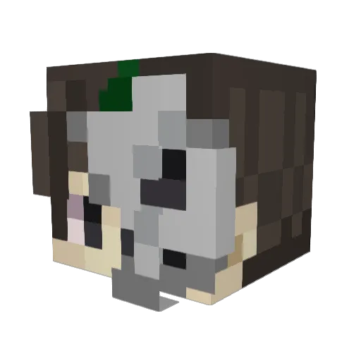Federsplitter Minecraft avatar head, 3D render