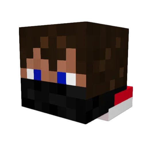 Fedexcool24 Minecraft avatar head, 3D render