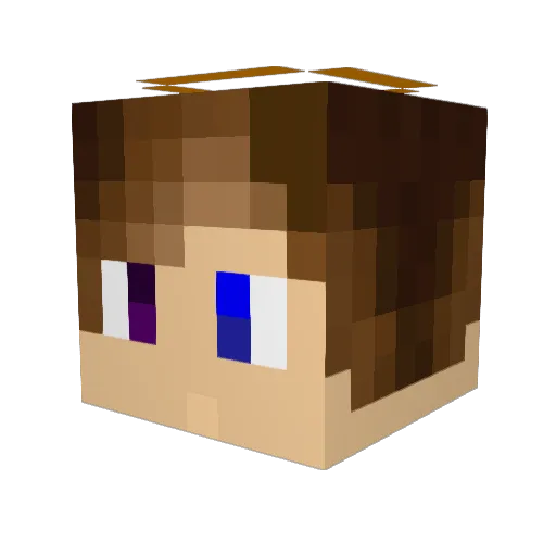 Fedlimid Minecraft avatar head, 3D render