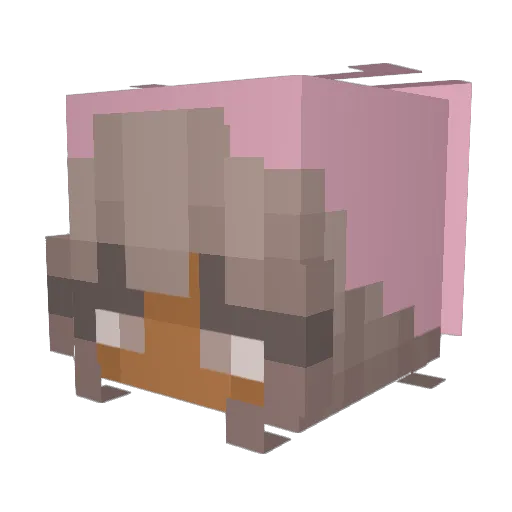 Fedora_Fox Minecraft avatar head, 3D render
