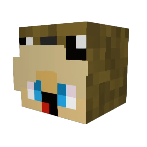 Fedorsdor Minecraft avatar head, 3D render