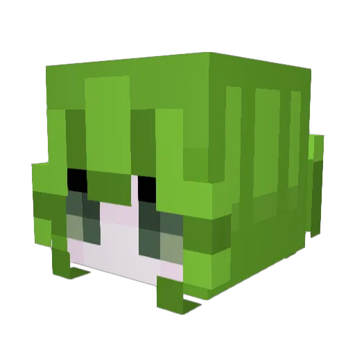 Feduchella Minecraft avatar head, 3D render