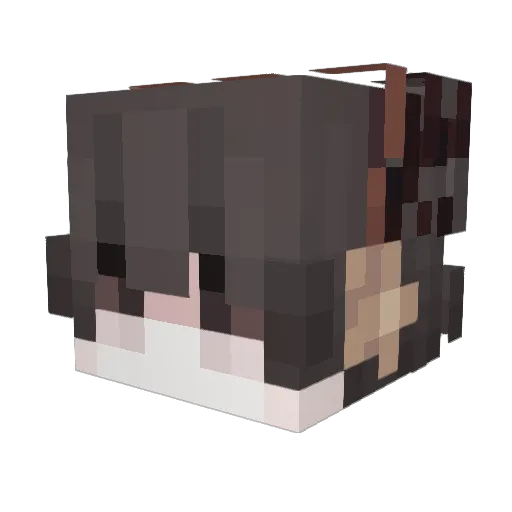 Feduck Minecraft avatar head, 3D render