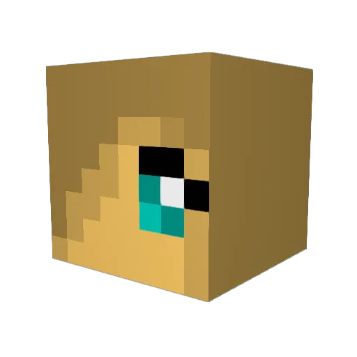 Fee1001 Minecraft avatar head, 3D render