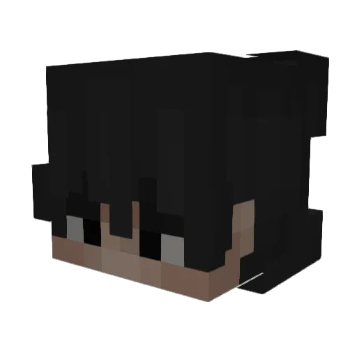 Fee2Ration Minecraft avatar head, 3D render