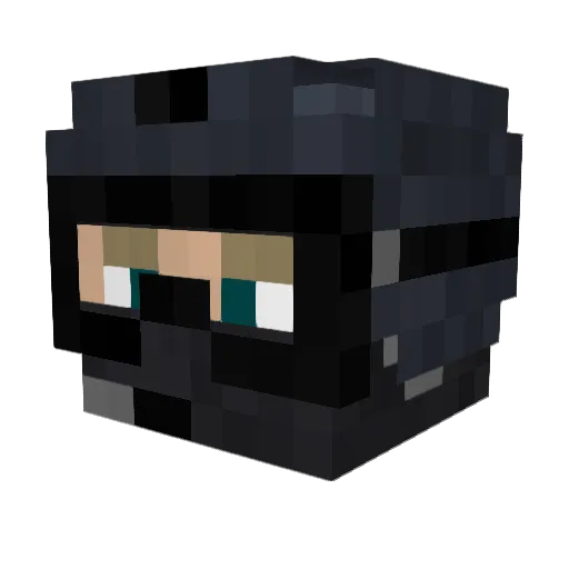 FeeFort Minecraft avatar head, 3D render