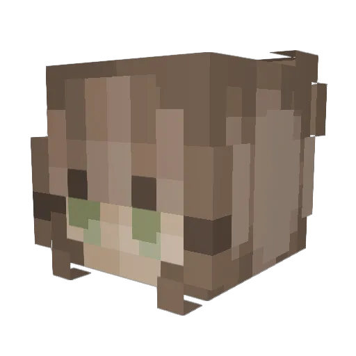 FeeZoey Minecraft avatar head, 3D render