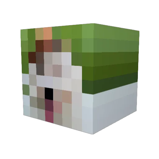 FeebleFrosty Minecraft avatar head, 3D render
