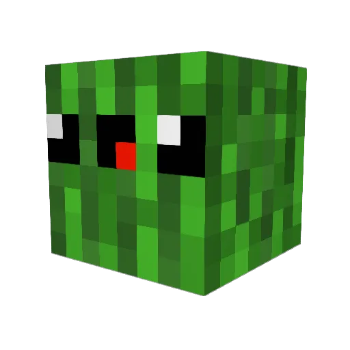 Feeble_Pickle Minecraft avatar head, 3D render