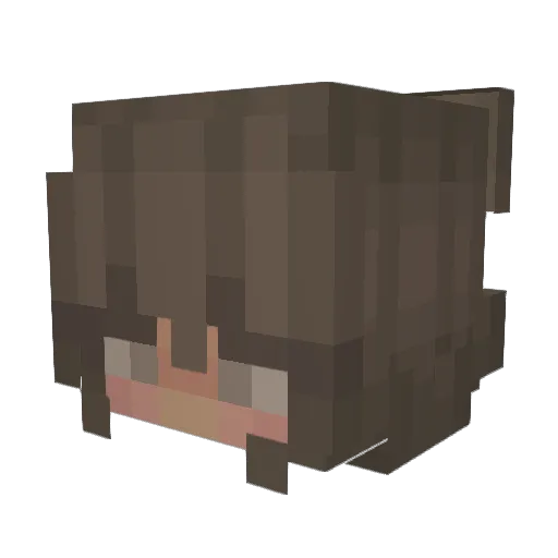 FeebsJ Minecraft avatar head, 3D render