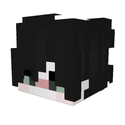 FeedBack077 Minecraft avatar head, 3D render