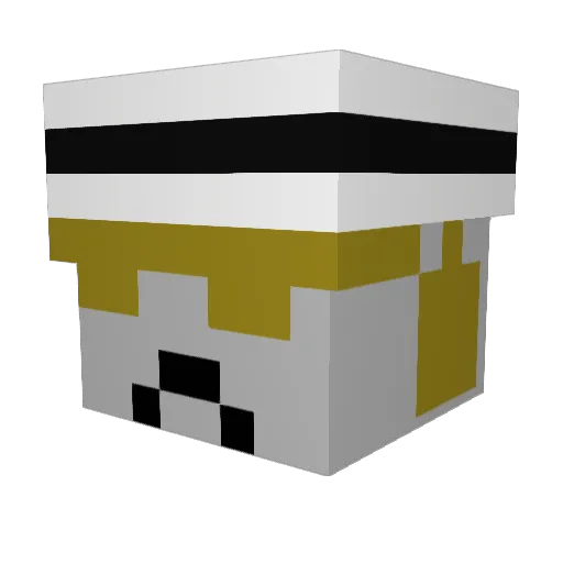 FeedMeSushi6665 Minecraft avatar head, 3D render