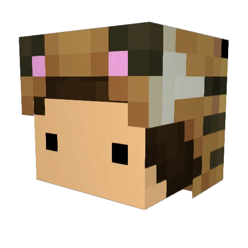 FeedTheAfricans Minecraft avatar head, 3D render
