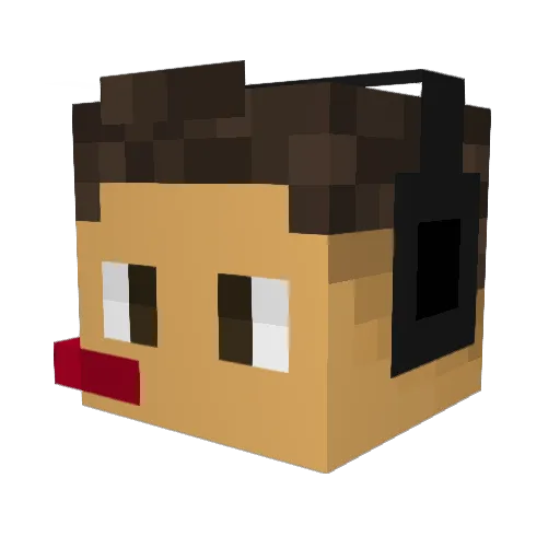 Feede305 Minecraft avatar head, 3D render