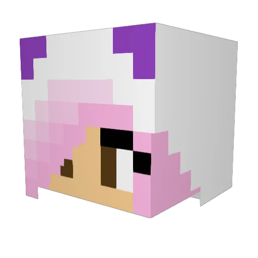 Feedsackxx Minecraft avatar head, 3D render