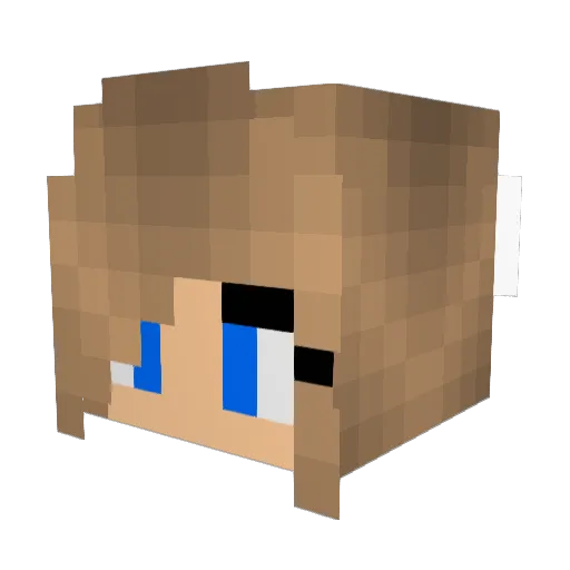 Feeehhh_ Minecraft avatar head, 3D render
