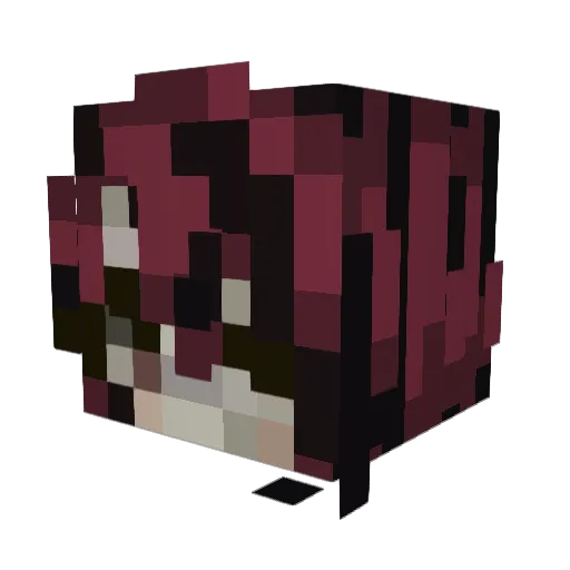 Feeeohnuh Minecraft avatar head, 3D render