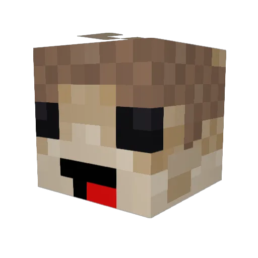 Feeesh123 Minecraft avatar head, 3D render