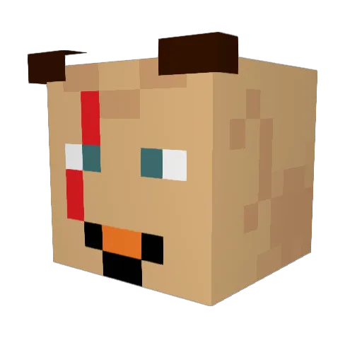 Feel2X Minecraft avatar head, 3D render