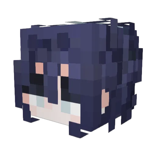 FeelingAnxious Minecraft avatar head, 3D render