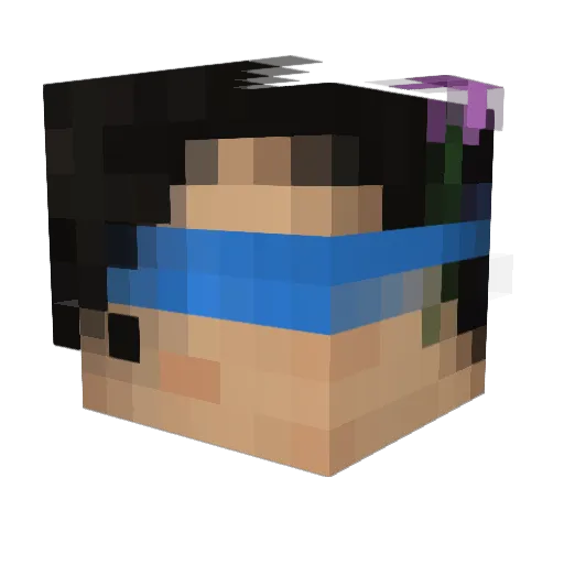 Feelingflowers Minecraft avatar head, 3D render