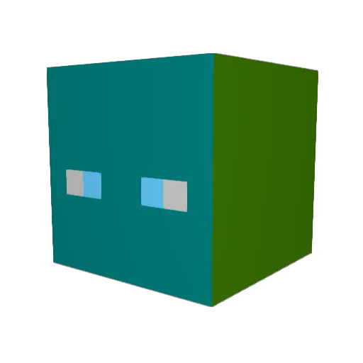 Feeniks754 Minecraft avatar head, 3D render