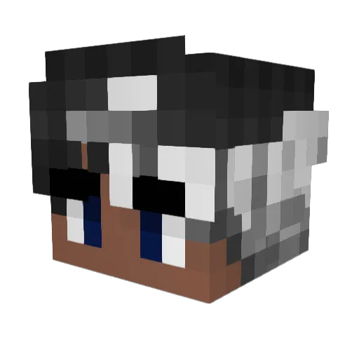 Feeniqs Minecraft avatar head, 3D render