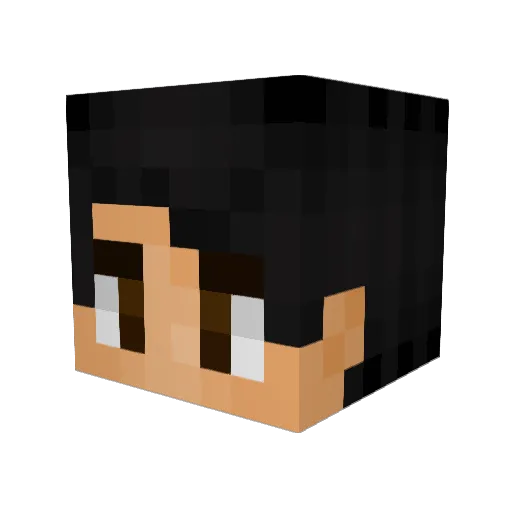 FeerDeZ Minecraft avatar head, 3D render