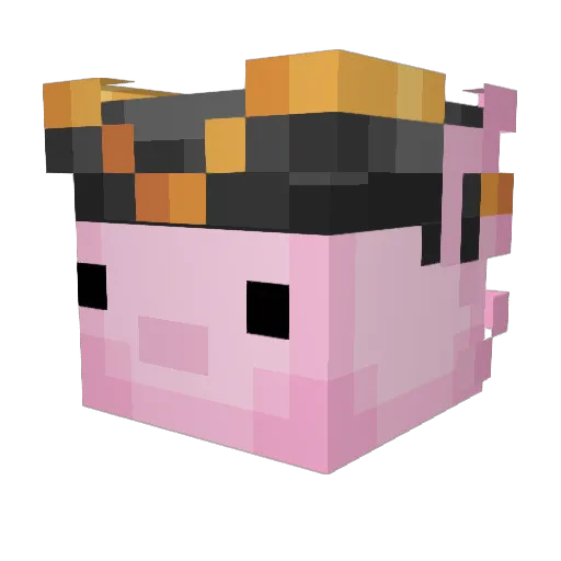 Feerdo Minecraft avatar head, 3D render