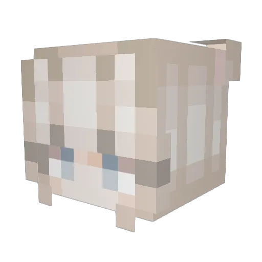 Feesyyyy Minecraft avatar head, 3D render
