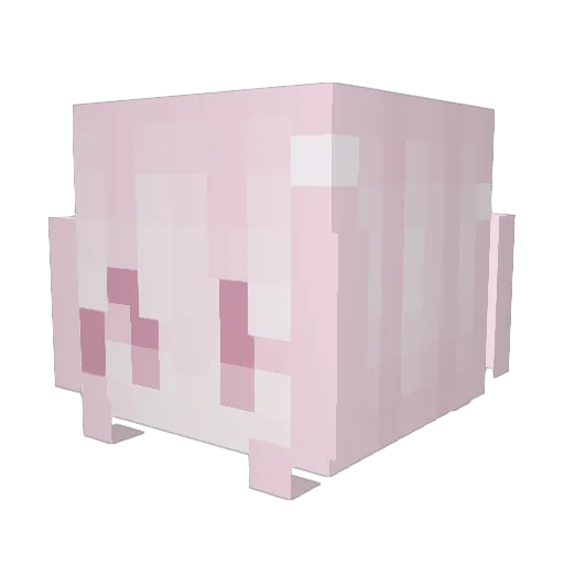 FeetGobbler2012 Minecraft avatar head, 3D render
