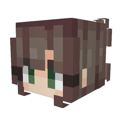 Feet_flakes Minecraft avatar head, 3D render