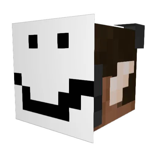 Feetstreet Minecraft avatar head, 3D render