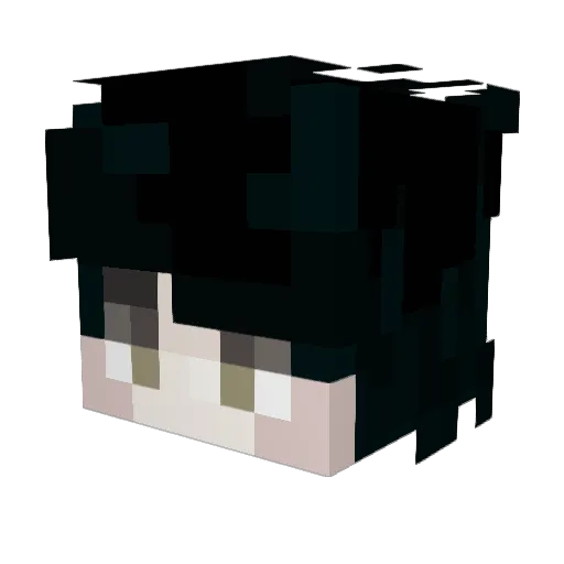 Fefe1805 Minecraft avatar head, 3D render
