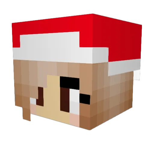 Fefe56 Minecraft avatar head, 3D render