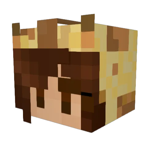 Feffer7767 Minecraft avatar head, 3D render
