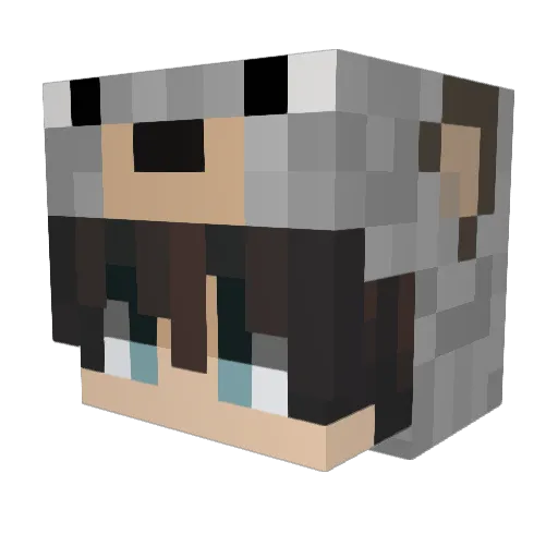 Fefloxx Minecraft avatar head, 3D render