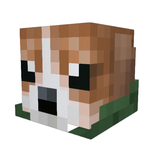 Fefo2572 Minecraft avatar head, 3D render