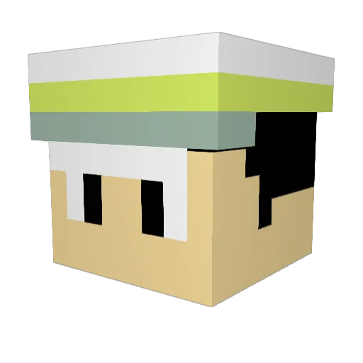 FefoCU Minecraft avatar head, 3D render