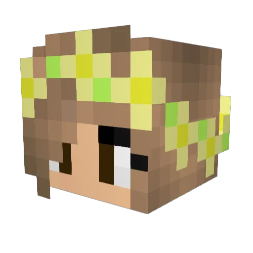 Feh_ Minecraft avatar head, 3D render