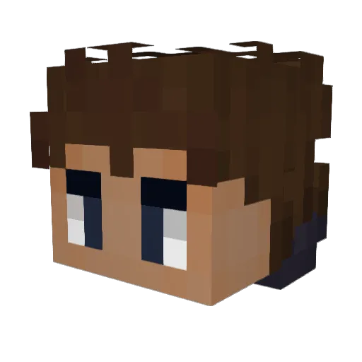 Fehdedb Minecraft avatar head, 3D render