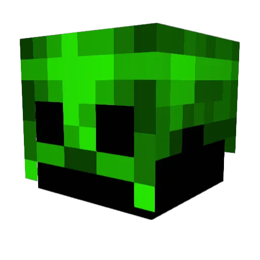 FehrerSnaill Minecraft avatar head, 3D render
