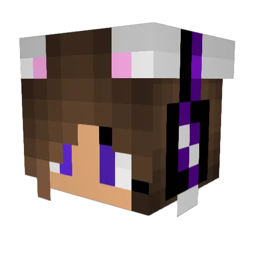 FeiJzzZeni Minecraft avatar head, 3D render