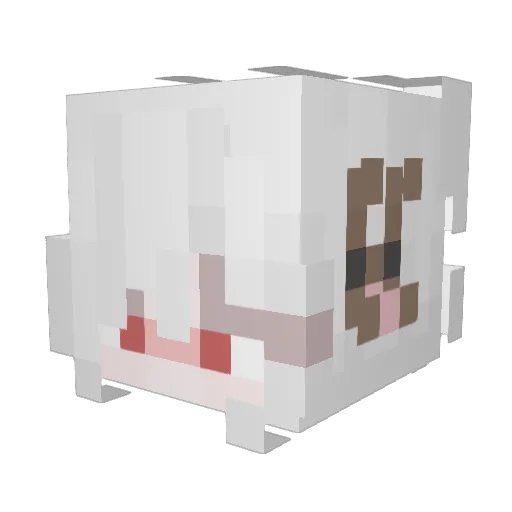 FeiRamiel Minecraft avatar head, 3D render