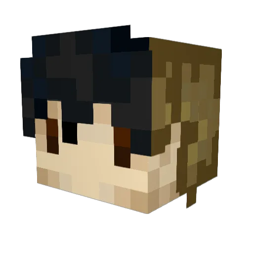 Feichaii Minecraft avatar head, 3D render