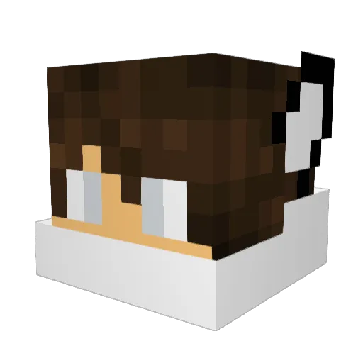 FeigiFlopFox Minecraft avatar head, 3D render