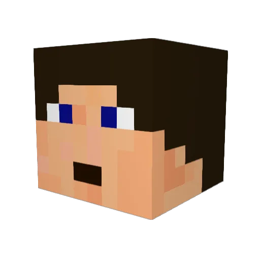 Feignus Minecraft avatar head, 3D render