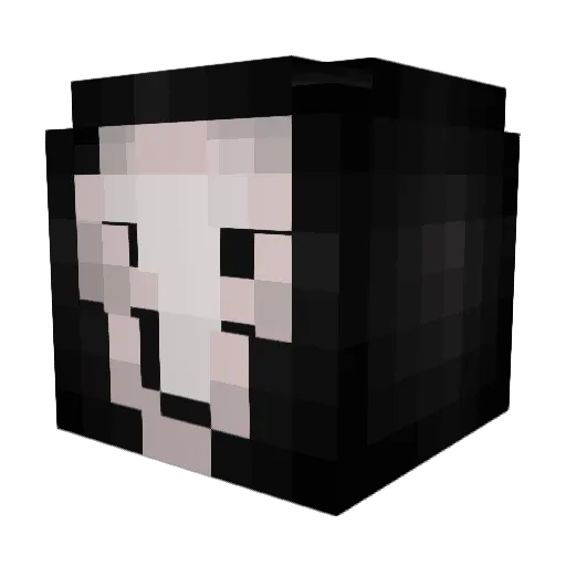 Feiixu Minecraft avatar head, 3D render
