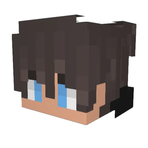 Feije__ Minecraft avatar head, 3D render